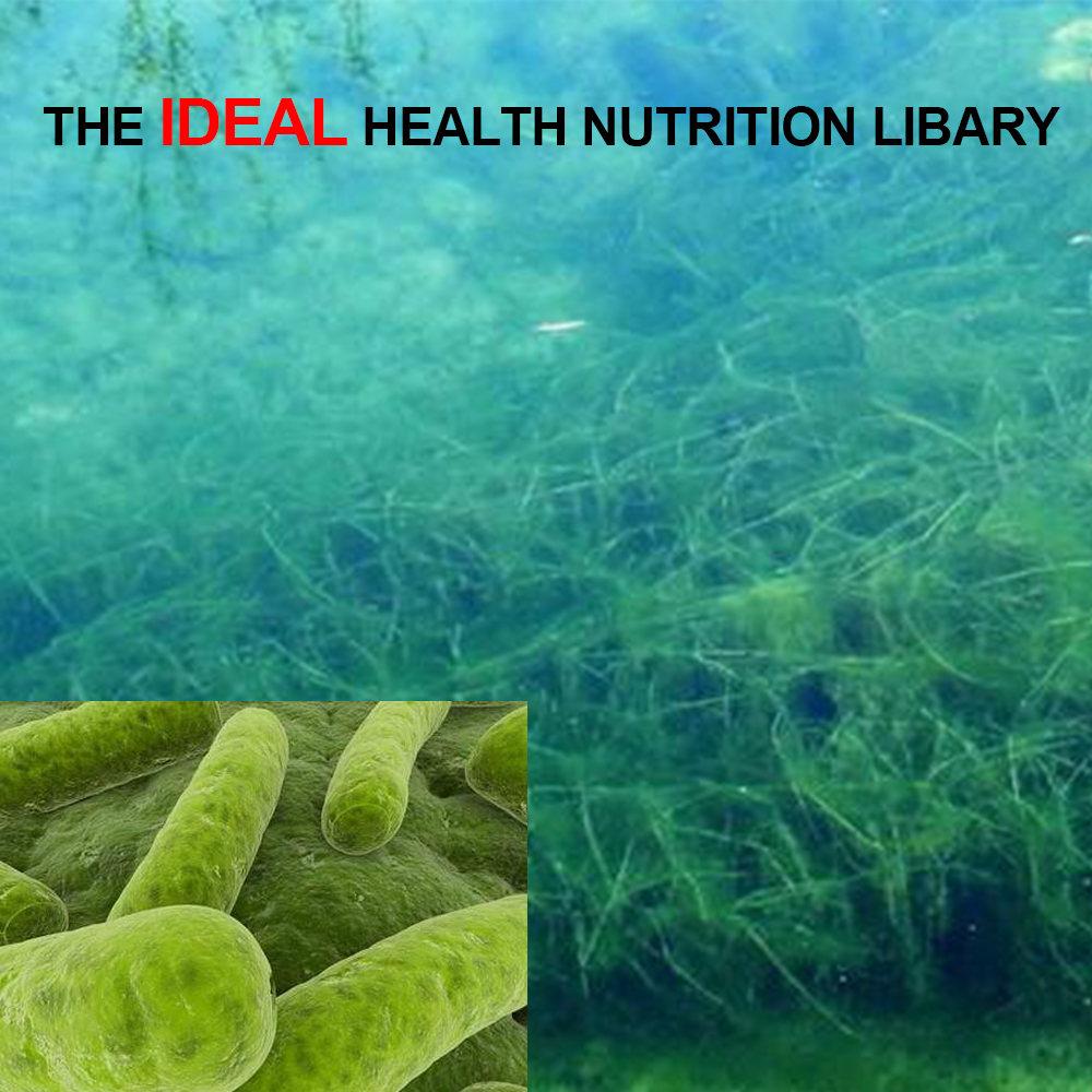 BOLIKIM 250mgx200p Spirulina For People